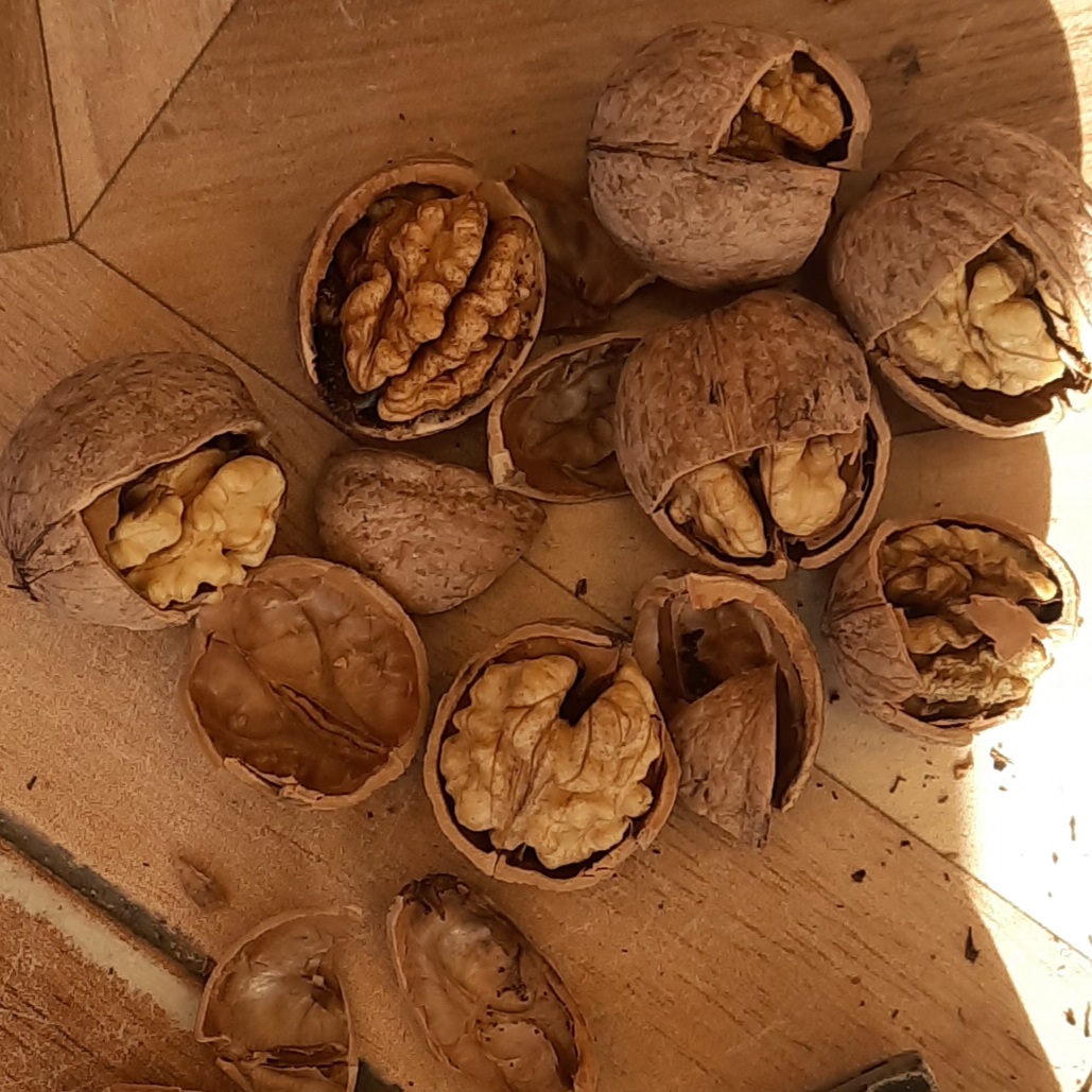 گردو درجه یک اعلا