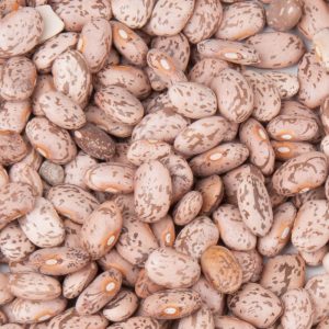 لوبیا چیتی کشاورزی اعلا بسیار خوشپخت